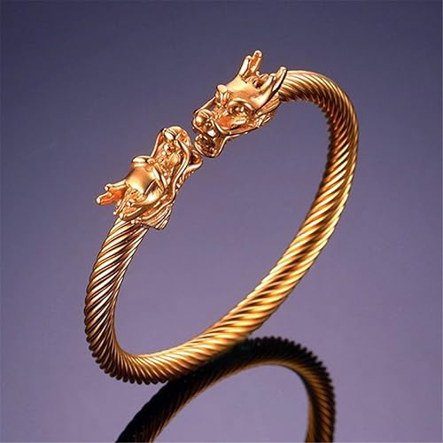 Men's Stainless Steel 10mm Open Wia Vintage Punk Domineering Double Dragon Head Bangle Bracelet