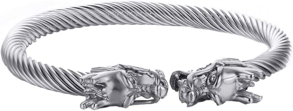 Men's Stainless Steel 10mm Open Wia Vintage Punk Domineering Double Dragon Head Bangle Bracelet