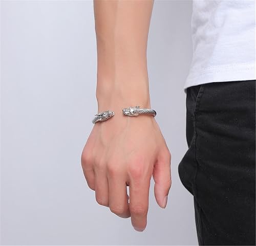 Men's Stainless Steel 10mm Open Wia Vintage Punk Domineering Double Dragon Head Bangle Bracelet