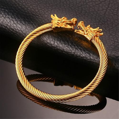 Men's Stainless Steel 10mm Open Wia Vintage Punk Domineering Double Dragon Head Bangle Bracelet